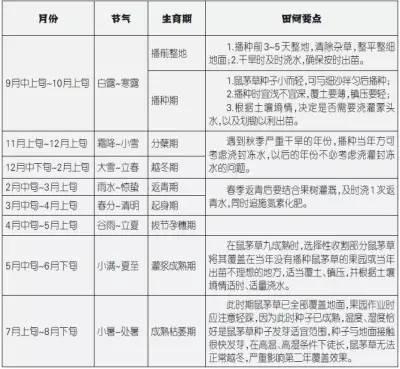 被歐美和日本廣泛采用的果園覆草法，你用了嗎？