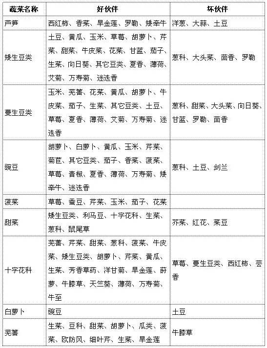 作物之間的相生相克，種錯(cuò)就哭慘了