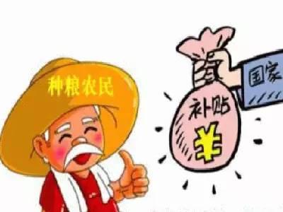 央視公布：玉米補(bǔ)貼每斤2毛錢，每畝約170元