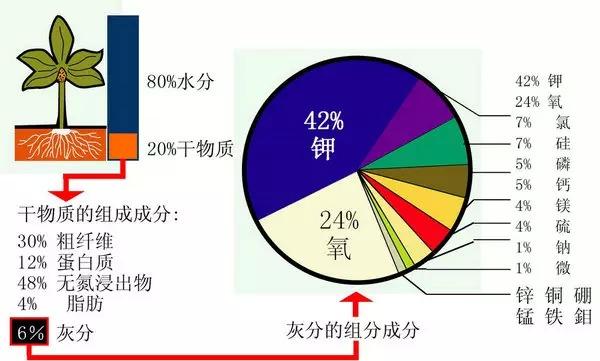 史上最全肥料知識 ！