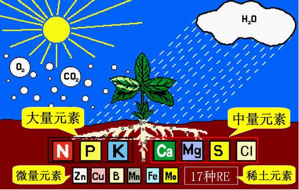 史上最全肥料知識 ！