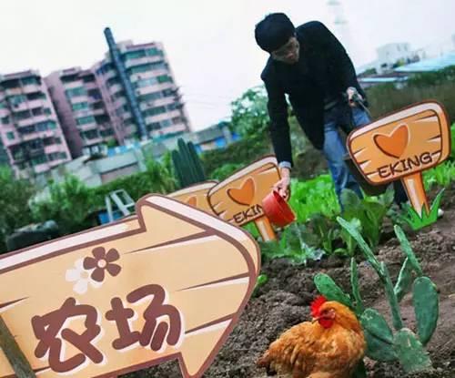 農(nóng)業(yè)四大眾籌揭秘：如何“拿”別人的錢干自己的事情？