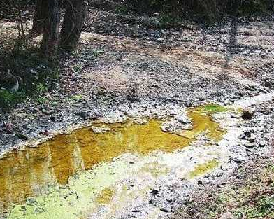 我國(guó)每年1200萬糧食受土壤重金屬污染