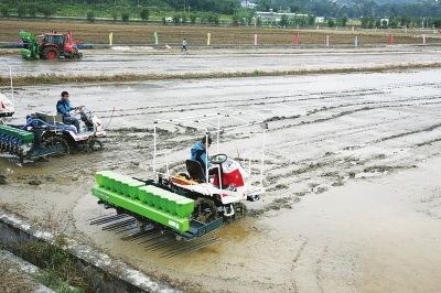 讓水稻機(jī)直播叫好又“叫座”2.jpg