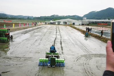 讓水稻機(jī)直播叫好又“叫座”3.jpg