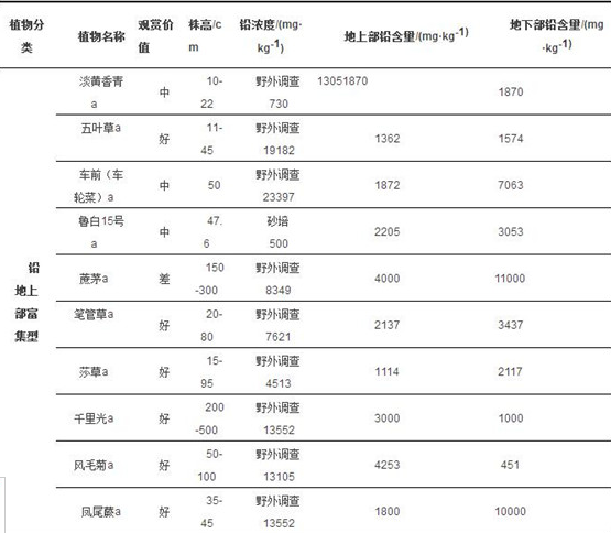 植物實現(xiàn)鉛污染土壤修復(fù) 哪些合適的植物可以選擇？