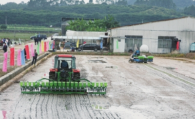 機直播或可補水稻機械化種植短板.jpg