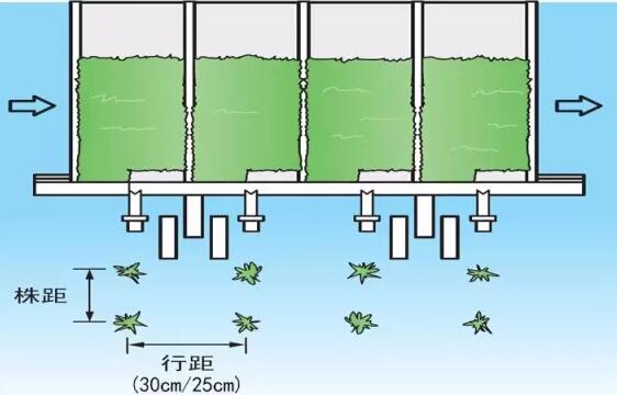 久保田插秧機(jī)和秧苗的基礎(chǔ)知識(shí)6.jpg