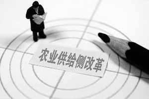 糧、水、地三大改革主題激活產(chǎn)業(yè)鏈.jpg