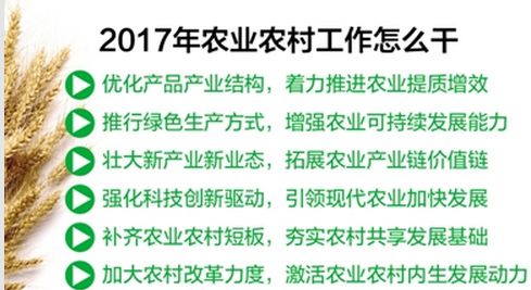 2017年中央一號文件說了些啥？.jpg