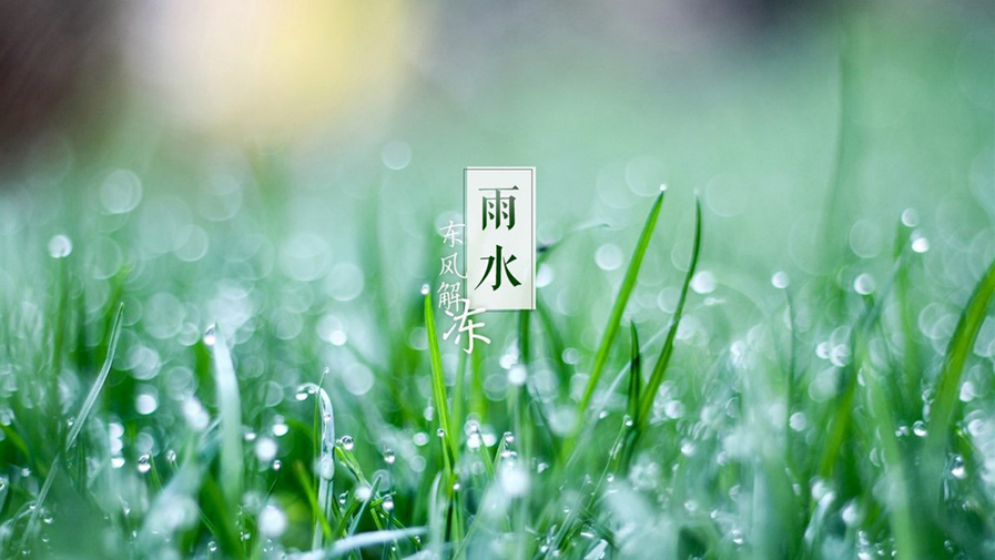 中國25位碳氫領(lǐng)袖雨水節(jié)向春耕大忙碳氫家人表達雨水柔情