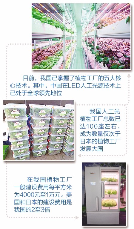 北京農眾物聯(lián)的自然光植物工廠車間。.jpg