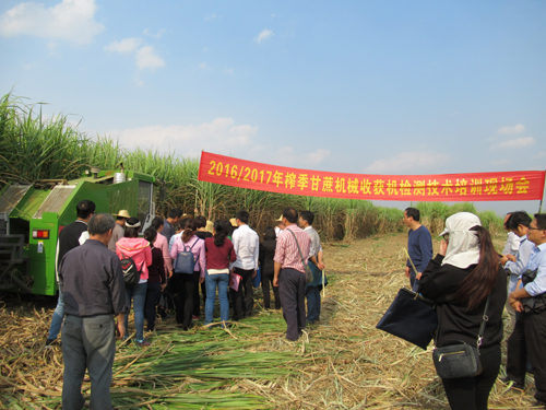 廣西自治區(qū)甘蔗機(jī)械化收獲技術(shù)研討暨甘蔗收獲機(jī)械試驗及檢測技術(shù)培訓(xùn)會在扶綏縣召開2.jpg