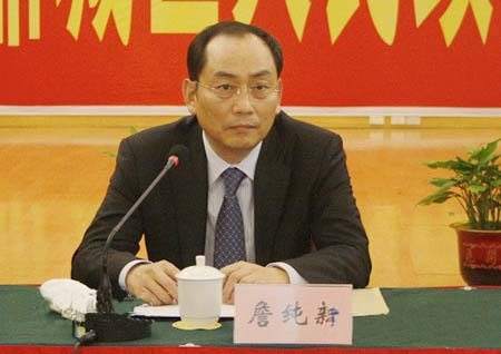 全國(guó)人大代表、中聯(lián)重科股份有限公司董事長(zhǎng)詹純新.jpg