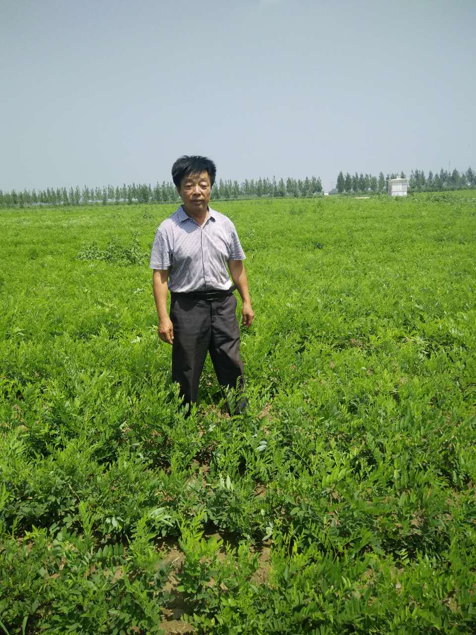 扎根土地,輸出“健康” ,造福蒼生