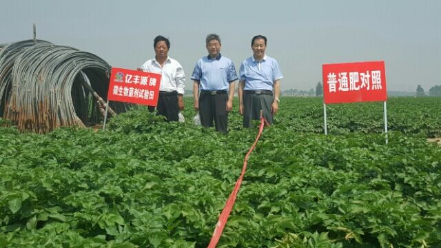  專訪中國商品有機(jī)肥之父、山東億豐源生物科技股份有限公司董事長朱述堯