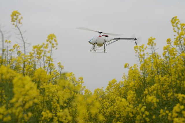 無人機(jī)巡航油菜花田 黑科技進(jìn)農(nóng)村.jpg