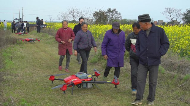 無人機巡航油菜花田 黑科技進農村1.jpg