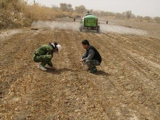 土壤改良：這次國家可能要“動真格”了