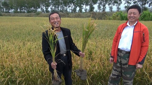 土壤與農(nóng)民渴望生態(tài)肥