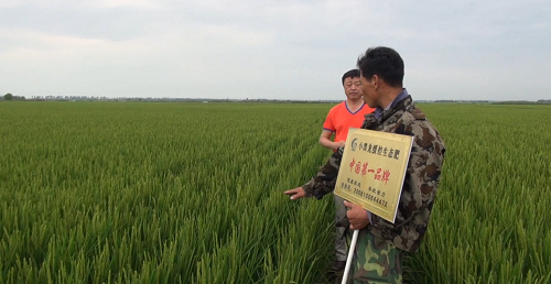 土壤與農(nóng)民渴望生態(tài)肥