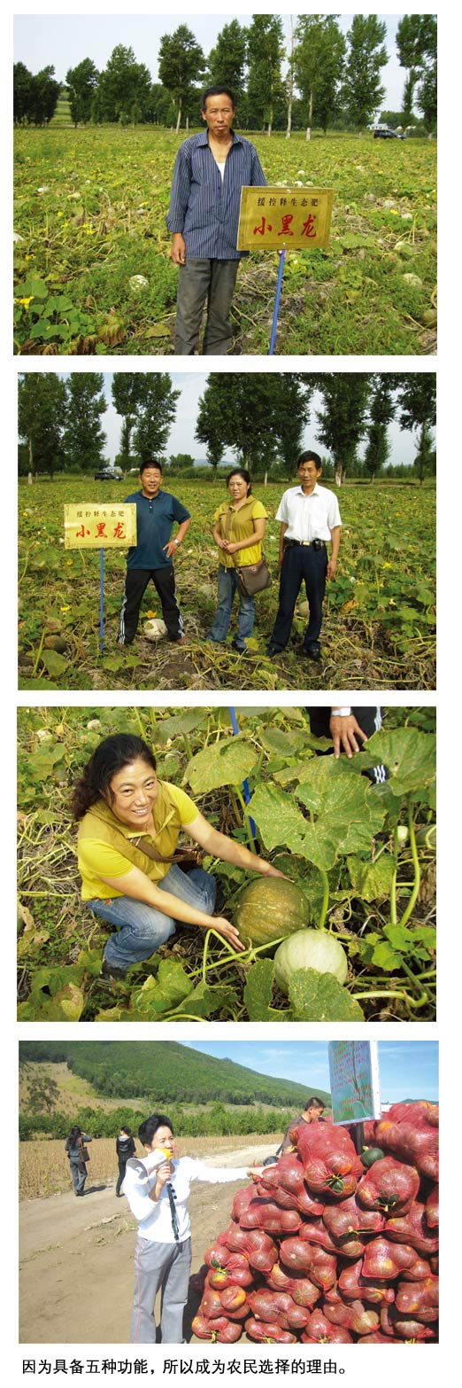 土壤與農(nóng)民渴望生態(tài)肥