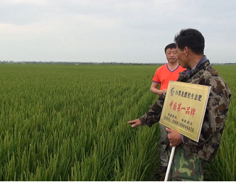 土壤與農(nóng)民渴望生態(tài)肥