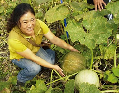 土壤與農(nóng)民渴望生態(tài)肥