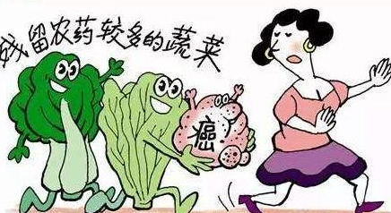 神奇植物：能“吃掉”土壤中100多種農(nóng)藥殘留！大家都當個寶！