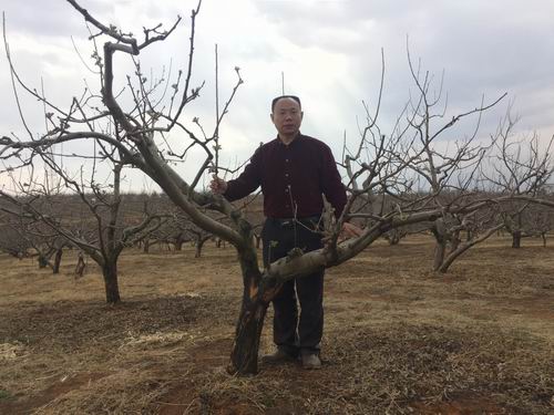 成都華宏生物科技有限公司水肥一體化種植方案挺進鹽源