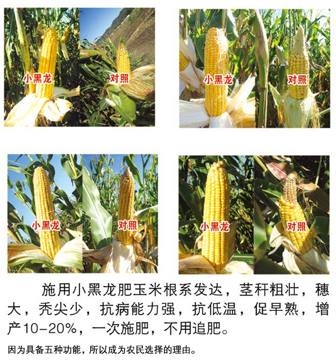 緩控生態(tài)肥與“老三樣”化肥的十大區(qū)別