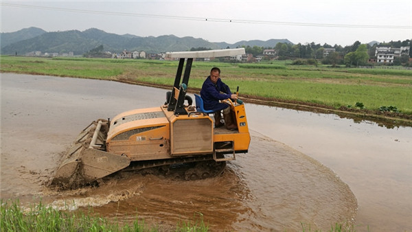 湖南省衡陽縣三湖鎮(zhèn)聯(lián)洋村60歲農(nóng)民王愛春，開著履帶式旋耕機(jī)“打田”.jpg