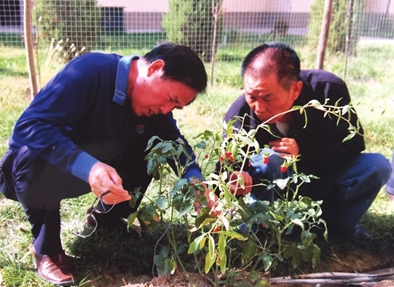 寧夏土壤改良的 先行者