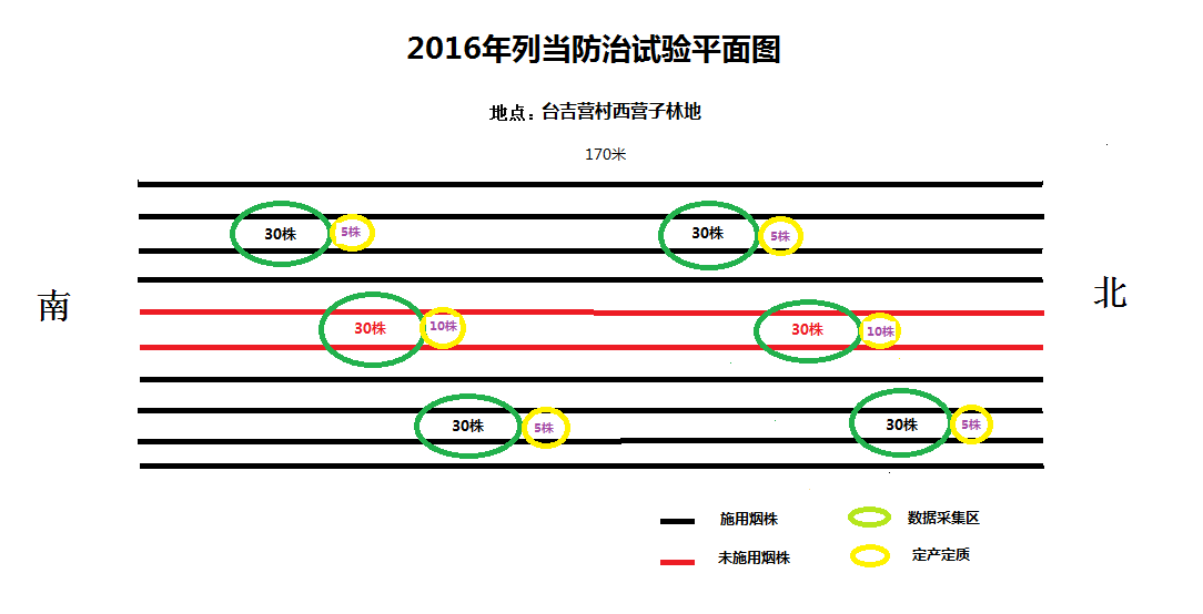 2016年臺吉營煙站列當防治試驗總結