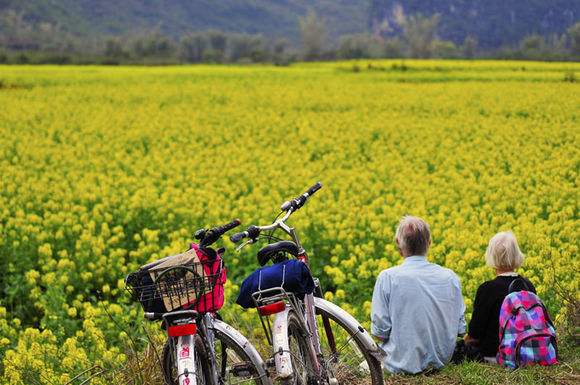 韓長(zhǎng)賦：全力開創(chuàng)休閑農(nóng)業(yè)和鄉(xiāng)村旅游發(fā)展新局面.jpg