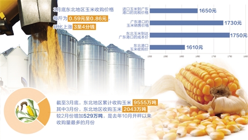 糧食宏觀調(diào)控還需精準(zhǔn)發(fā)力.jpg