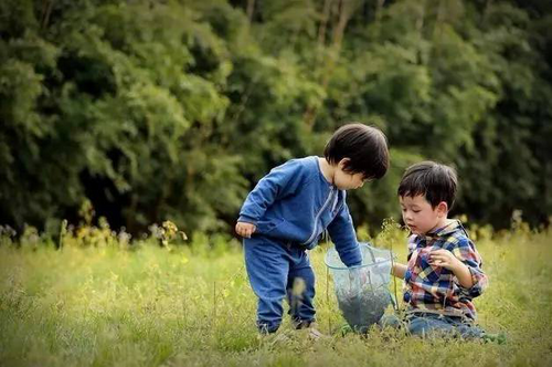 為什么現(xiàn)在的青菜變得寡淡無(wú)味， 蘿卜也成了辣的？ 追根溯源就是化肥施多了。