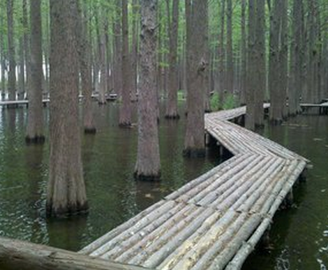  “海綿城市”怎么建 水上公園給土壤“蓋層被”