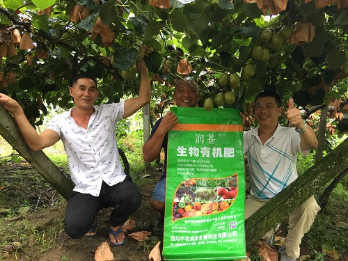   高手在民間：潤(rùn)蒼生物有機(jī)肥幫助“獼猴桃大王”喜獲豐收