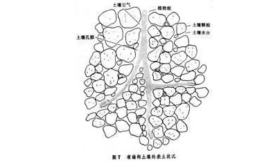 土壤通氣性與合理施肥有什么關(guān)系？