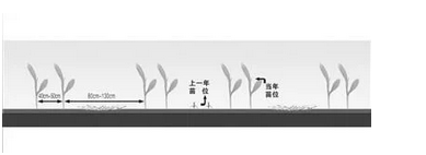 農(nóng)田減肥減藥 土壤恢復(fù)健康