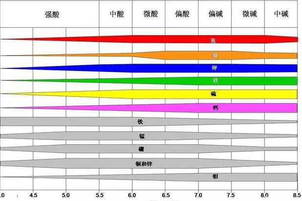 土壤pH值對植物生長的影響