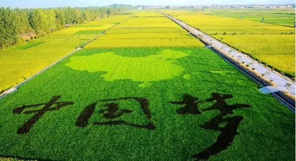 又到一年國慶日，又到一屆展會時！