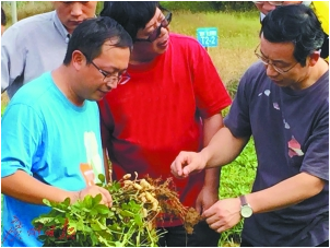 利用作物的本能治土？這個(gè)"中醫(yī)"治土法驗(yàn)證成效顯著