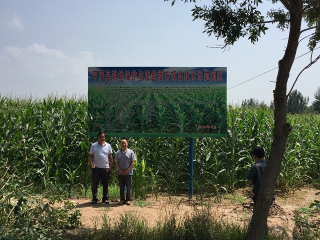 厲害了！連續(xù)四年中標寧夏耕地保護與質量提升項目