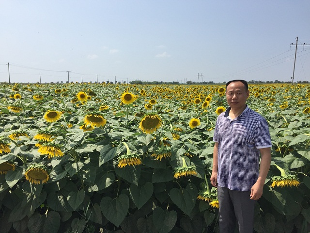 厲害了！連續(xù)四年中標寧夏耕地保護與質量提升項目