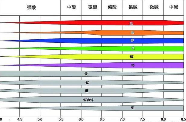 土壤酸化致使養(yǎng)分流失！改良方法不難掌握