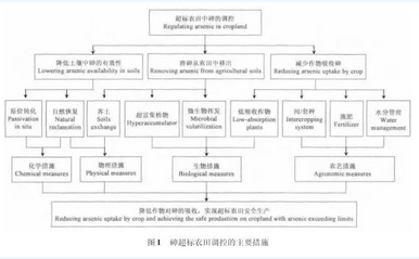 農(nóng)田土壤中砷的來源及調(diào)控研究與展望