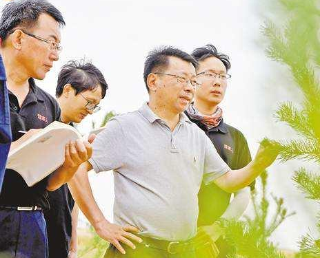 中國(guó)發(fā)明神奇黏合劑，能讓沙漠土壤化，已有4000畝試驗(yàn)田變綠洲