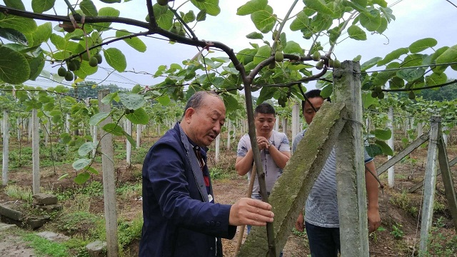 深耕農(nóng)村十余載，土壤改良怪人的“土壤夢(mèng)”！